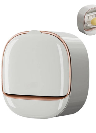 Wall-Mounted  Drain Soap Holder for Bathroom & Kitchen
