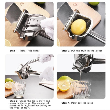Fruit Press Manual Juicer
